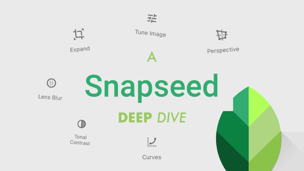 Snapseed The Best Photo Editing Apps of 2024